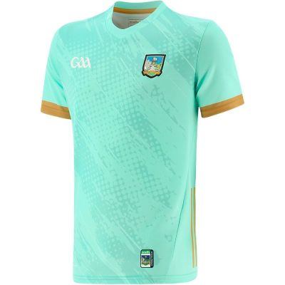[hot]2023 size TRAINING S--5XL RUGBY JERSEY GAA Jersey Limerick Goalkeeper IRELAND LIMERICK 2023/24