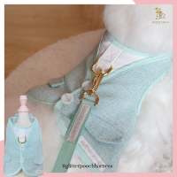 Glitter Pooch Harness ชุดรัดอก สายจูง เสื้อผ้า สุนัข, หมา, แมว, สัตว์เลี้ยง พร้อม สายจูง รุ่น Minty Boy