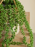 Artificial Succulents Hanging Wall Plants Eucalyptus Mandala Hanging Potted Plastic Garland Wedding Home Decor Rattan Traps  Drains