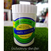 ANTI GREEN ยากำจัดตะไคร่-น้ำเขียวและสาหร่ายสีเขียวแกมน้ำเงิน เห็นผลภายใน 2-4วัน