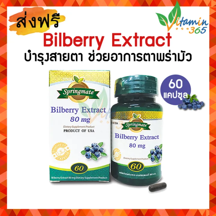 Springmate Bilberry Extract 80 mg สปริงเมท บิลเบอร์รี่สกัด บำรุงสายตา 60 แคปซูล Lazada.co.th