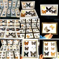 Real Butterfly Specimen Random Happy Birthday Gift Butterflies Hanging Wall Photo Frame Ornament Home Christmas Decorations