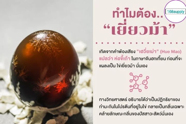 วัสดุสำหรับทำไข่เยี่ยวม้า-โซดาแอซ-ซิงค์ออกไชด์-คือผสมสำคัญไข่เยี่ยวม้าสวยปลอดภัย