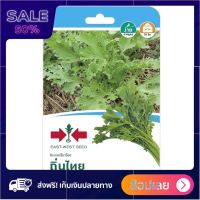 ผักกาดเขียวน้อย ถิ่นไท ศรแดง Free Shipping seed