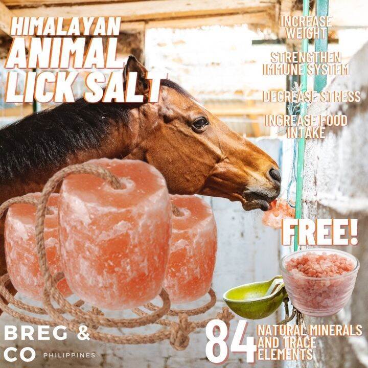 Animal Lick Salt Himalayan Lick Salt for Goats, Horses, Cow etc