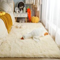 【LZ】niquda Thick Plush Carpet Bedroom Girls Bedside Living Room Floor Mat Soft Velvet Rug Fluffy Long Hair Lounge Carpet Furry Decoration