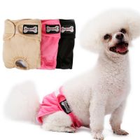 Shorts for Large Dog Female Sanitary Big Dog Physiological Pants Panties Female Dog Cat Diapers Underwear Briefs Diaper