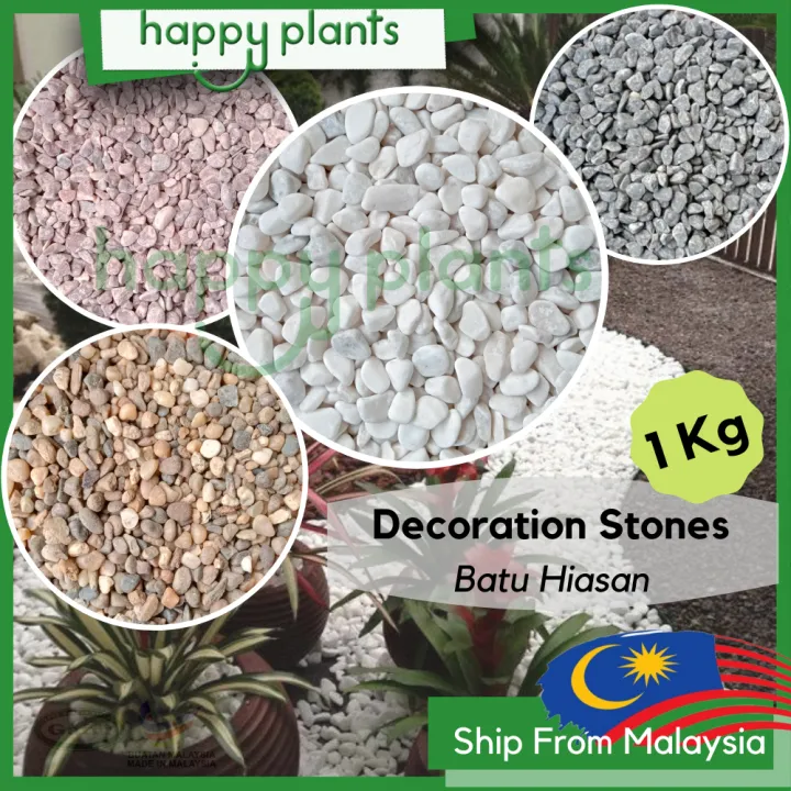 🌱 1kg Batu Hiasan Pebble Wash Chipping Gardening Aquarium Landscape