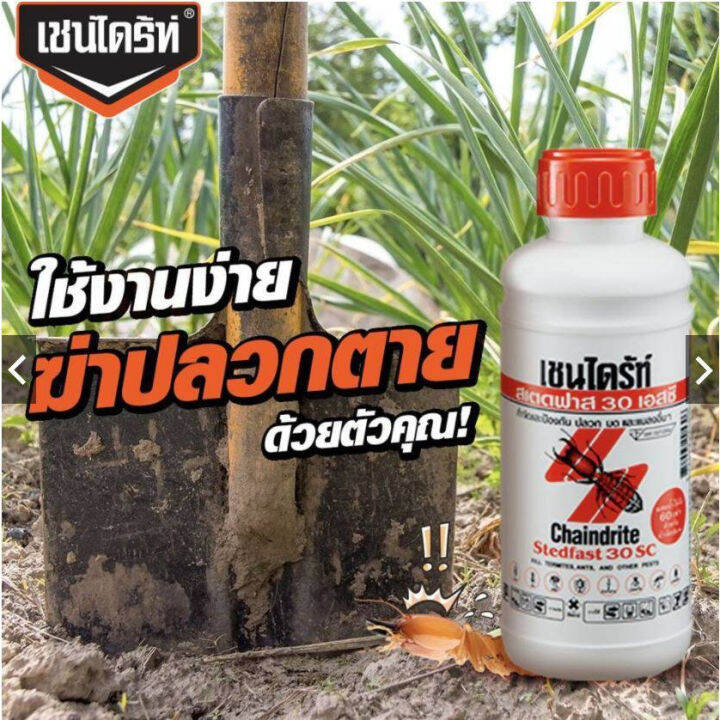 chaindrite-เชนไดร้ท์-stedfast-30sc-น้ำยากำจัดปลวก-ยาฆ่าปลวกแบบเข้มข้น-สเตทฟาส-ขนาด-250ml-1-ขวด