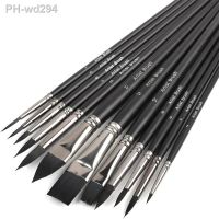 12Pcs Artist Paint Brush Set for Watercolor Acrylic Gouache Canvas Oil Tempera Rock Craft Professioal Painting for Beginners