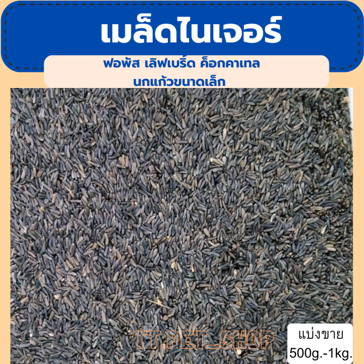 เมล็ดไนเจอร์-แบ่งขาย-200-500g-อาหารหงษ์หยก-ฟอพัส-เลิฟเบิร์ด-ค็อกคาเทล