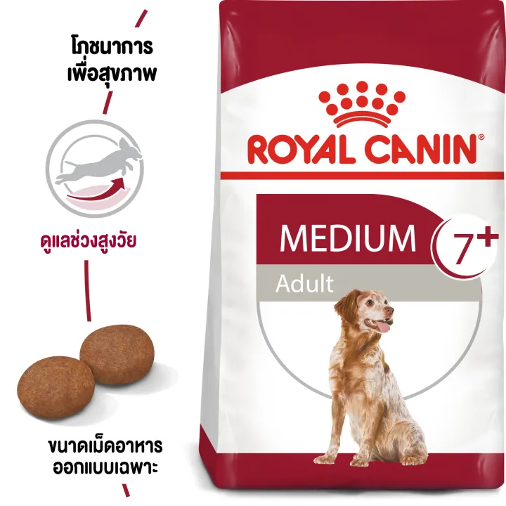 exp9-24-royal-canin-medium-adult-7-10kg-สุนัขโตพันธุ์กลางอายุ7ปีขึ้นไป