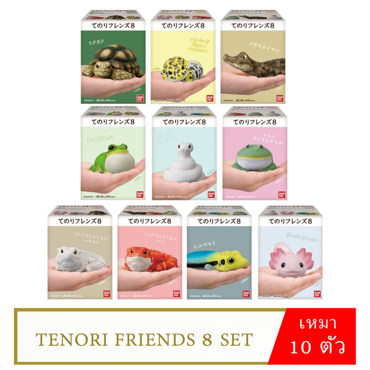 พร้อมส่ง-เหมา-bandai-tenori-friends-8-โมเดลสัตว์-สมจริง-น่ารัก-model-figure-ลิขสิทธิ์แท้-เต่า-หมาน้ำ-กบ-กิ้งก่า-จระเข้