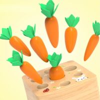 Montessori Toys Baby Pull Carrot Set Wooden Toy Shape Matching Puzzle Kids Cognition Wood Game Educational Toys For Children