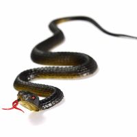 【YF】♕□  1pcs Snake Fake Scary Props Horror Small Soft Rubber