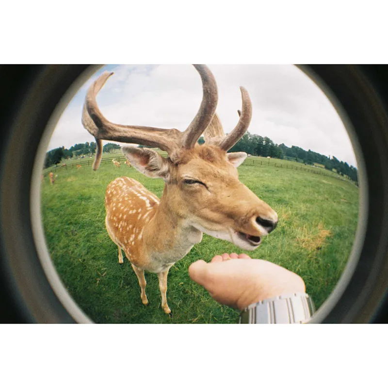 fisheye one hello kitty edition