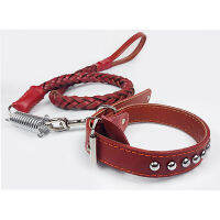 Pet Dog Leash Summer Cowhide Material Braided Spring Style Suitable For Medium and Large Dogs Leash Pet Dog Supplies