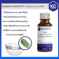 ♂E001ET-25G น้ำมันหอมระเหย ยูคาลิปตัส  Eucalyptus Essential Oil ขนาด 25 กรัม⊿