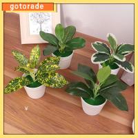 GOTORADE โมเดลทิวทัศน์ ของตกแต่งบ้าน เครื่องประดับตั้งโต๊ะ กระถางสีเขียวเหมือนจริง หญ้าเทียม บอนไซพืชประดิษฐ์ การจำลอง Scindapsus