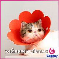 CeeJay  คอลล่าแมว ปลอกคอดอกไม้ ปลอกคอกันเลีย คอลล่าสุนัข  Cat coll