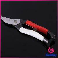 CeeJay กรรไกรตัดกิ่งไม้ กรรไกรตัดดอก อุปกรณ์ทำสวน Pruning shears มีสินค้าพร้อมส่ง