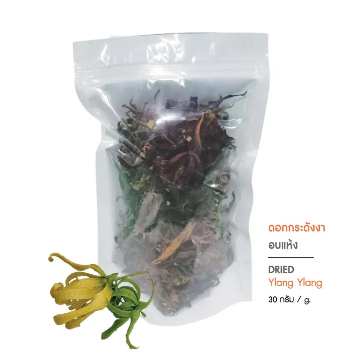 ดอกกระดังงา กระดังงาอบแห้ง ชาดอกไม้ ชงดื่มเป็นชา บรรจุ 30 กรัม (Dried Ylang Ylang) Lazada.co.th