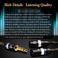 silver-plated hifi 6.5mm to 2 XLR cable High Quality 6.35mm to dual xlr audio cable