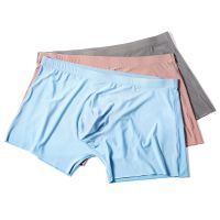 【CW】 New Convex Silk Thin Men Stretch Breathable Soft Hygroscopic Male Brief B43