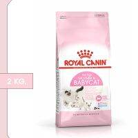 นาทีทองลด 50% แถมส่งฟรี อาหารแมว Royal Canin โรยัล คานิน สำหรับแม่แมวตั้งท้อง - ให้นม และลูกแมวอายุต่ำกว่า 4 เดือน 2 KG. (THE GALAXY)