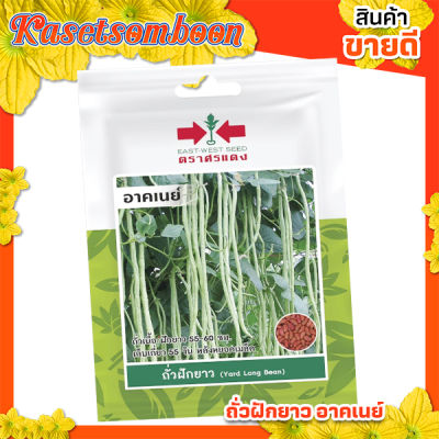 เมล็ดพันธุ์ผัก เมล็ดมะละกอ กินดิบ บรรจุ 4 เมล็ด/ซอง ขนาด 10 บาท ตรา ศรแดง