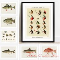 Luyameishop HD พิมพ์ Retro ปลาแซลมอน Fish Art ผ้าใบ: แมลงวันหลากหลายภาพวาดสำหรับห้องนั่งเล่น Wall Decor และ Home โปสเตอร์