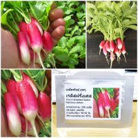 เมล็ดพันธุ์ เรดิสฝรั่งเศส เบรคฟาส French Breakfast Radish Seed 200 เมล็ด ของแท้ เมล็ดพันธุ์พืช ผักสวนครัว เมล็ดพันธุ์ผัก