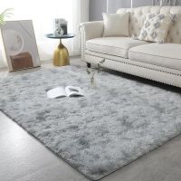 【DT】hot！ Large Rugs for Room Hair Lounge In The Bedroom Decoration Fluffy Floor Bedside Mats