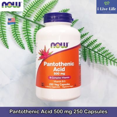 กรดแพนโทเทนิก Pantothenic Acid 500 mg 250 Capsules - Now Foods B5 วิตามินบี 5 B-5