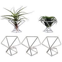 Pack 5 Air Plant Holder Air Plants Holders Tillandsias Display Air Purifying Plant Container Air Fern Stand