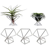 Pack 5 Air Plant Holder Air Plants Holders Tillandsias Display Air Purifying Plant Container Air Fern Stand