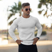 Muscleguys Autumn Fashion Thin Sweaters Men Long Sleeve Pullovers Man O-Neck Solid Slim Fit Sweaters Knitting Tops pull homme2023