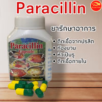 ยารักษาปลาสวยงาม ติดเชื้อจากปรสิต,หัวเป็นรู,ท้องบวม Paracillin Medifish