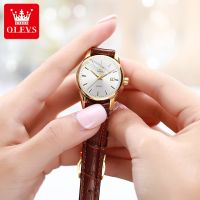 OLEVS Ladies Business Watch Original Waterproof Watch Leather Silver With Gold Quartz Luminous Dual Calendar Woman Fashion Temperament Watch