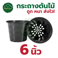 กระถาง6นิ้ว สีดำ (1-50ใบ) กระถางราคาถูก กระถางพลาสติก กระถางต้นไม้ l บ้านแบงค์ฟาร์ม