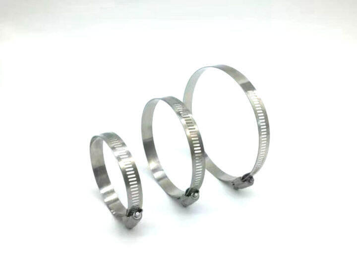 304 Stainless Steel Wire Tie Thick Live Cable Tie Selflocking Outdoor