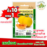 (ซื้อ10แถม1) เมล็ดพันธุ์ เมล่อน ธันเดอร์โกลด์ 1497 Thunder gold 1497 ประมาณ 50เมล็ด เจียไต๋ เมล็ดพันธุ์พืช เมล็ดพันธุ์ผัก เมล็ดผัก เม็ดผัก