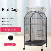 กรงนกเหล็กดัดพร้อมขาตั้ง Play Top และ Rolling สำหรับ Parrots Conures Lovebird atiel Parakeets Bird Nest Assembly