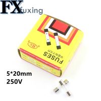 20Pcs 5x20mm Fast Quick Blow Glass Tube Fuse Assorted Kit Fast Blow Glass Fuses F0.1A 0.75A 1.5A 2.5A 6.3A 12A F30A 250V 5*20 mm Electrical Circuitry