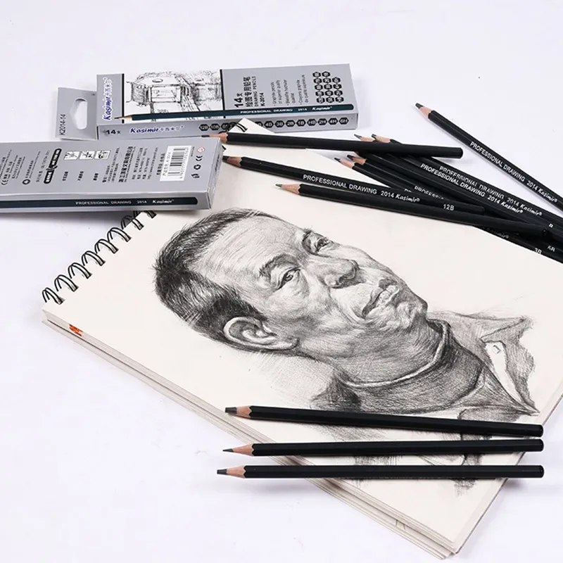 Artist Professional Drawing Pencil Graphite Sketching 12B-6H Set Of 14