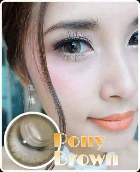 คอนแทคเลนส์-ขนาดบิ๊กอาย-brown-pony-pola-wink-lovely