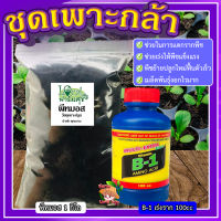 วัสดุเพาะกล้า+ฮอร์โมนเร่งราก ? น้ำรากเร่งรากB-1 + พีชมอส วัสดุปลูกคุณภาพสูง ดินปลูกต้นไม้ เพาะเมล็ดอัตราการงอกสูง ต้นกล้าแข็งแรง?