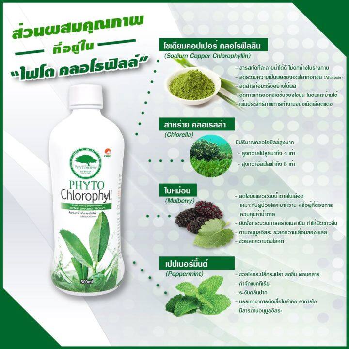 phyto-chlorophyll-ไฟโต-คลอโรฟิลล์-phhp-แท้