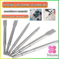 Winsome ดอกสกัดปากแบน ดอกสกัดปากแหลม​ ดอกแย็กปูน ดอกสกัดคอนกรีต  วัสดุเหล็ก 14*250mm Electric chisel head