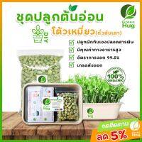 ชุดปลูกต้นอ่อนโต้วเหมี่ยว - Organic 100% ( Green Peas Sprout Kit - Organic ) GREENHUG เมล็ดต้นอ่อน